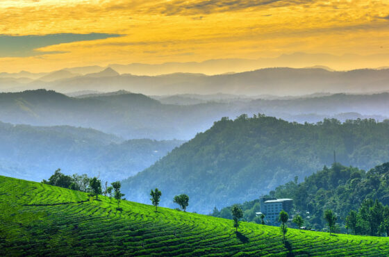 A Symphony of Hills, Water & Sand