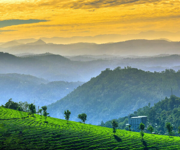 A Symphony of Hills, Water & Sand