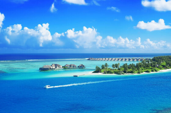 An Ocean of Boundless Bliss
